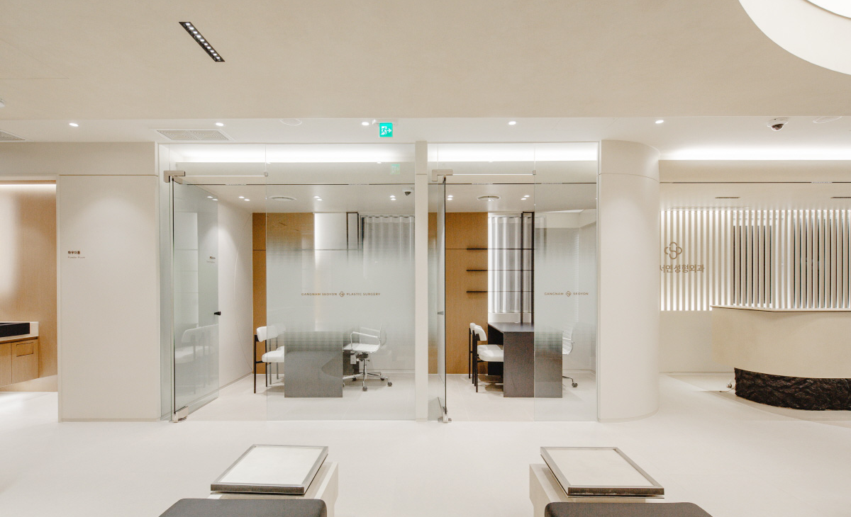 Gangnam Seoyeon Plastic Surgery - Ảnh 3