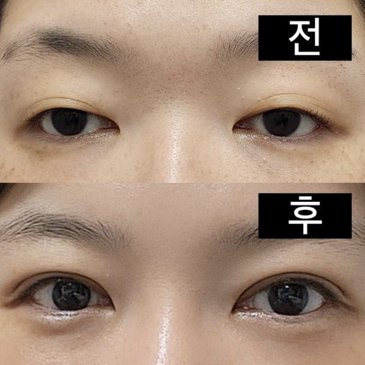 Đường nét được tạo hình rất tuyệt vời.